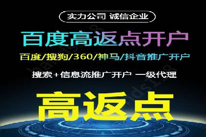 百度推广操作指南：案例解析