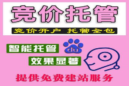 探索SEM推广代运营的奥秘：成功背后的故事